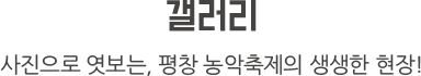 포토갤러리